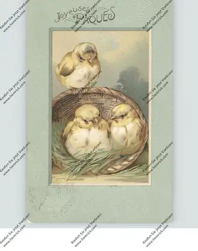 OSTERN - 3 Küken, Präge-Karte / embossed / relief, 1909