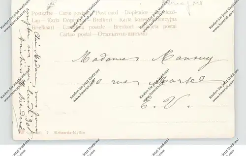 0-8210 FREITAL, Weisseritz Idyllen, 1906