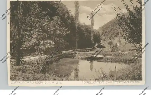 6104 JUGENHEIM, Forellenteiche im Stettbacher Tal, 1914