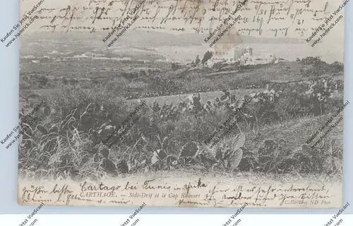 TUNESIE - CARTHAGE / KARTHAGO, Sidi-Drif et le Camp Kamart, 1905