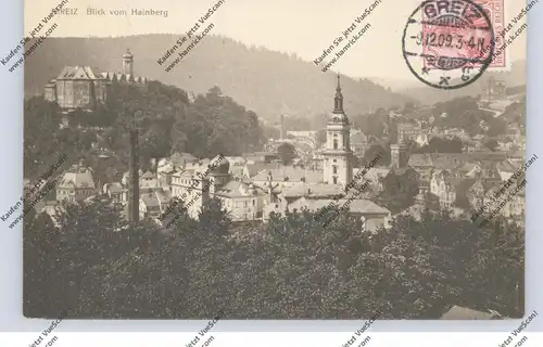 0-6600 GREIZ, Blick vom Hainberg, 1909
