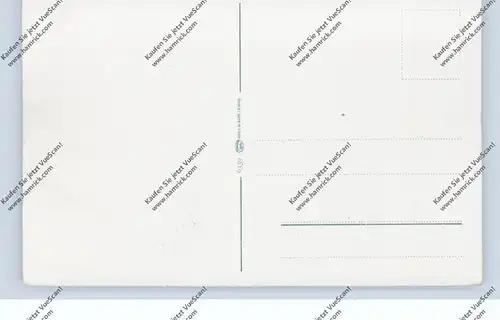 0-3706 SCHIERKE, Gesamtansicht mit Brocken und Hirsch (14-Ender)