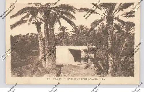 TUNESIE - GABES, Marabout dans l'Oasis