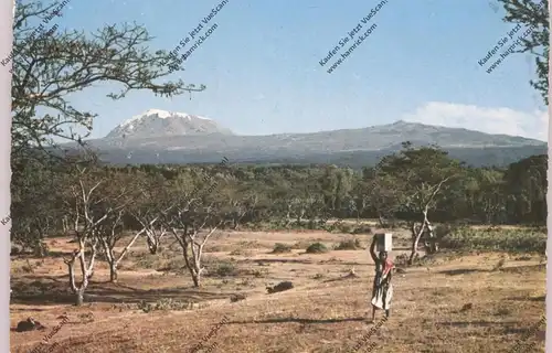 KENIA - Mount Kilimanjaro