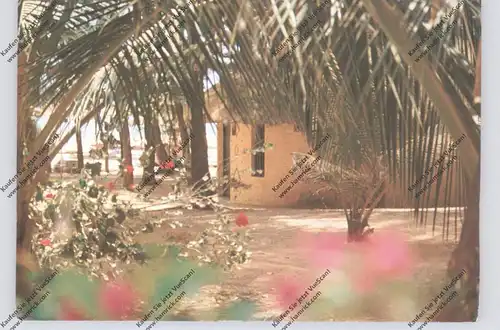 SENEGAL - Club Aldiana