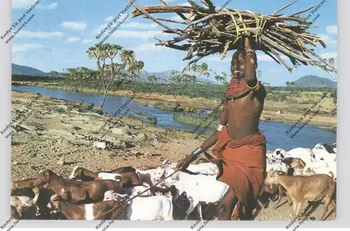 VÖLKERKUNDE / Ethnic - KENYA, cattle & goats herd,