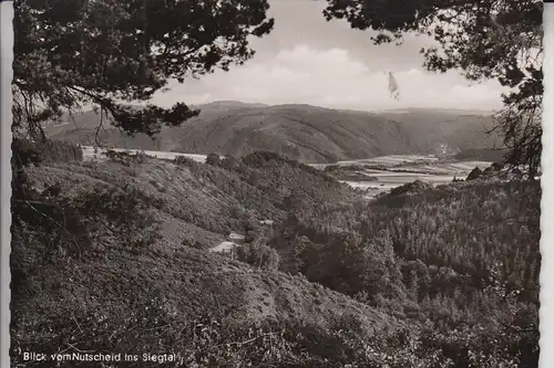 5220 WALDBRÖL, Blick vom Nutscheid ins Siegtal, 195..