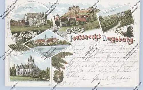 0-6840 PÖSSNECK, Lithographie, Gruss aus der Umgebung, 5 Burgen und Schlösser, Wildschweinkopf, Auerhahn, 1898
