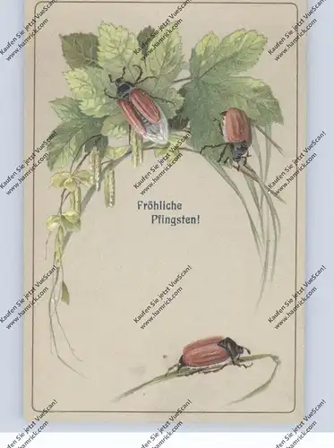 PFINGSTEN - Maikäfer auf Blattwwerk, Präge-Karte, embossed / relief, 1907
