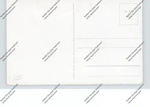 NIEDER-SCHLESIEN - STEINSEIFFEN / SCIEGNY, Dorfansicht