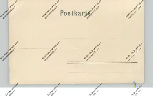 TIERE - ZIEGEN / Goats / Geiten / Chevres, Lithographie, Humor, ca. 1900, Schweizer Trachten