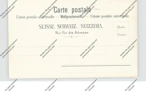 CH 3920 ZERMATT  - RIFFELALP VS, Blick zum Matterhorn, ca. 1900