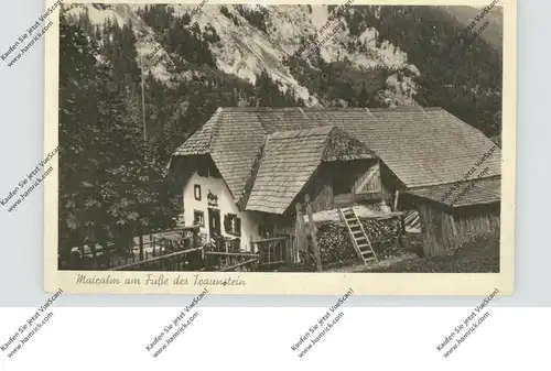 8210 TRAUNSTEIN, Mariaalm, Bauernhof am Fusse des Traunstein