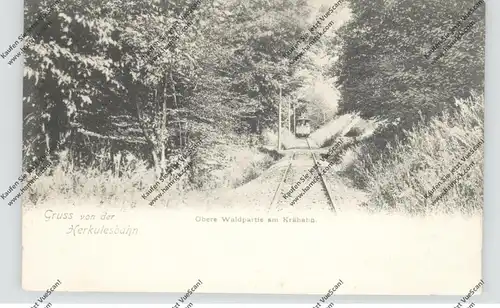 3500 KASSEL - WILHELMSHÖHE, Herkulesbahn, Obere Waldpartie am Krähahn, ca. 1905