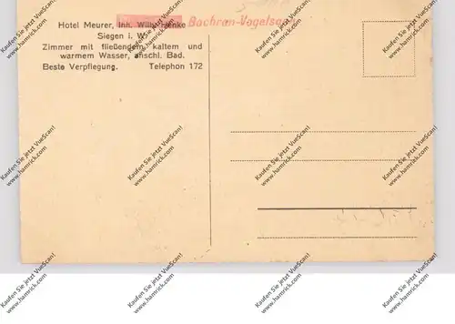 5900 SIEGEN, Lindenberg, Waldpartie mit Sportplatz