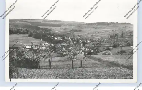 6395 WEILROD - GEMÜNDEN, Ortsansicht, 1951