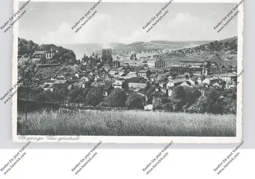 F 57300 HAYANGE / HAYINGEN, Gesamtansicht