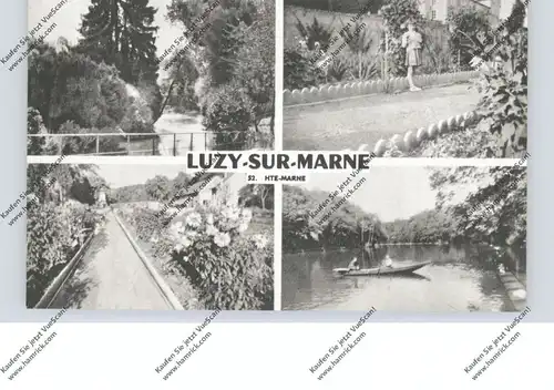 F 52000 LUZY-SUR-MARNE, Le Chateau du val Moiron