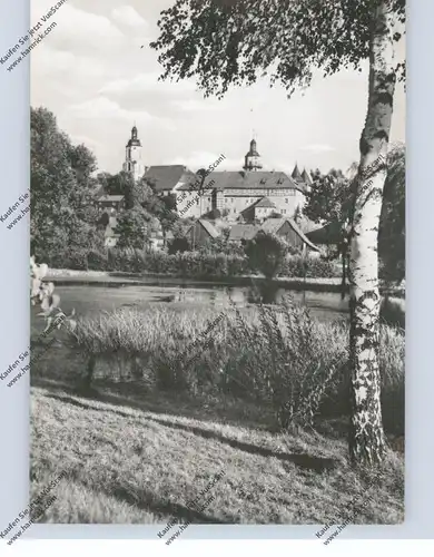 0-6056 SCHLEUSINGEN, Kirche und Schloß, 1965