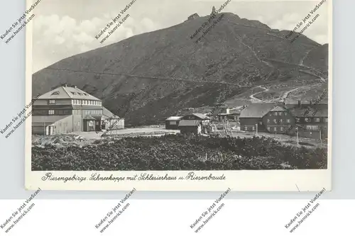 NIEDER-SCHLESIEN - SCHNEEKOPPE / SNEZKA, Schlesierhaus & Riesenbaude, 1934