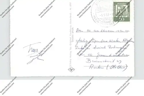 5788 WINTERBERG, Dorfansicht, Kuhherde, 1962, aptierter Stempel