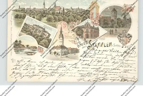 NIEDER-SCHLESIEN - STREHLEN / STRZELIN, Lithographie 1897, Teufelswand, Gymnasium, Rathaus, Postamt...