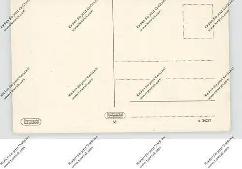 NIEDER-SCHLESIEN - KRUMMHÜBEL / KARPACZ, Blick vom Ehrenmal, Trenkler