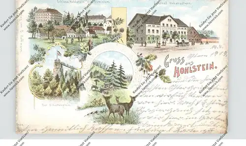 NIEDER-SCHLESIEN - LÖWENBERG-HOHLSTEIN / LWOWEK SLASKI, Lithographie, Gasthof, Schloß, Schottenstein