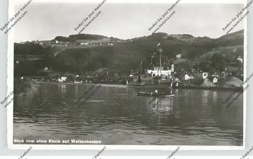 CH 9428 WALZENHAUSEN AI, Blick vom alten Rhein, Personenschiff, 1961