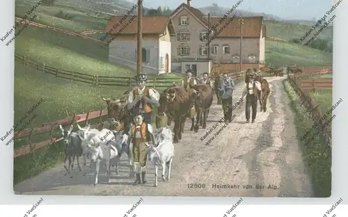 LANDWIRTSCHAFT - Ziegen und Kühe, Abtrieb von der Alm, Schweiz