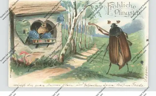 PFINGSTEN - Ständchen eines Maikäfers an seine Angebetete, Präge-Karte, 1907