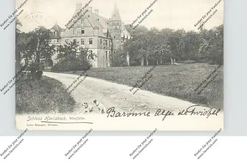 4409 HAVIXBECK, Schloss Havixbeck, versendet v. Baronne, 1902