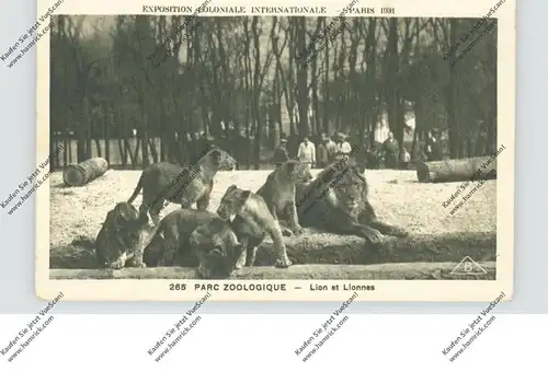 ZOO - PARIS, Löwen / Lions / Liones, 1931