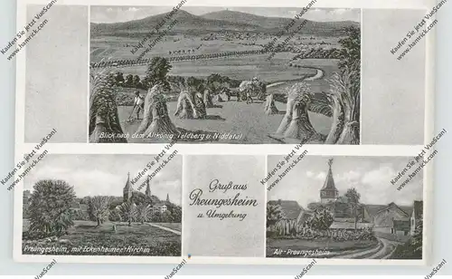 6000 FRANKFURT - PREUNGESHEIM, Alt-Preungesheim, Eckenheimer Kirchen, Blick auf Altkönig, Feldberg..., Künstler-AK