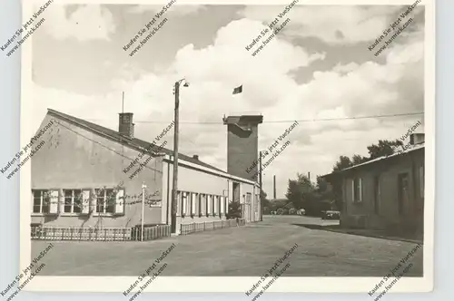 5300 BONN - DRANSDORF, 8 Photo-AK 1950, belgische Militäreinheit