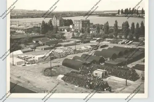 5300 BONN - DRANSDORF, 8 Photo-AK 1950, belgische Militäreinheit