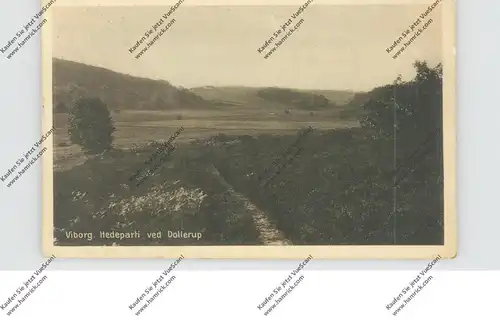 MILITÄR - 1.Weltkrieg, Kriegsgefangenenpost / Interniertenpost Lager Hald / Dänemark nach Österreich, März 1918