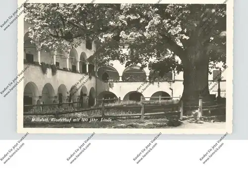 FLORA - 500 jährige Linde, Millstatt Klosterhof
