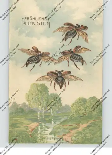 PFINGSTEN - Fliegende Maikäfer, Präge-Karte, embossed, relif, 1907