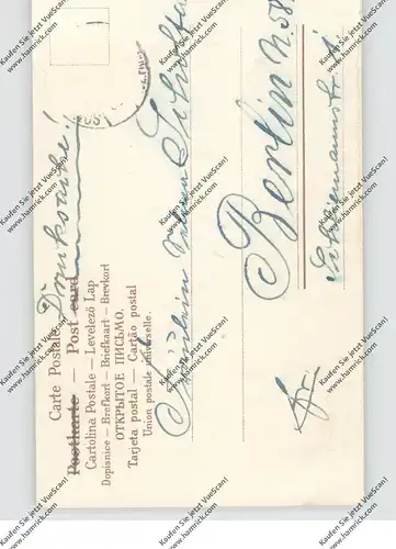 NEUJAHR - PROSIT NEUJAHR, Mädchen auf Pilz (Mushroom/Champignon/Funghi) sitzend, Präge-Karte