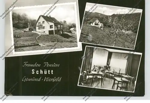 5372 GEMÜND - NIERFELD - DEHLENBACHTAL, Fremden Pension Schütt