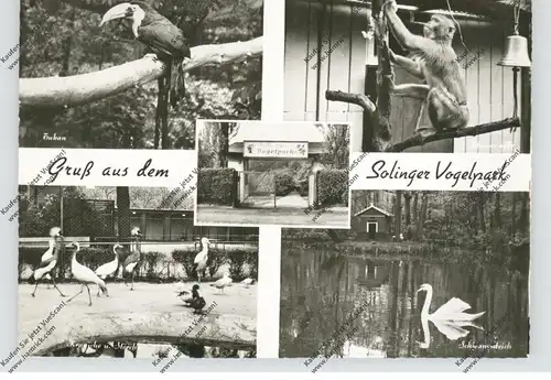 5650 SOLINGEN, Vogelpark / Tierpark / Zoo