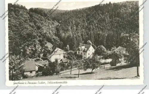 5401 NEY, Schönecker Mühle, Gasthaus und Pension Escher, 1959