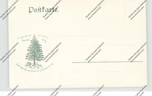 3425 WALKENRIED, Kloster, Doppelter und Einfacher Kreuzgang, Stengel Berlin, 1902