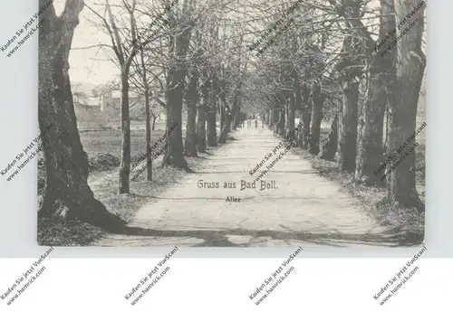 7325 BAD BOLL, Allee, 1912