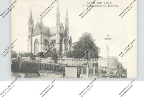 5480 REMAGEN, Apollinariskirche, Weinanbau, ca. 1905