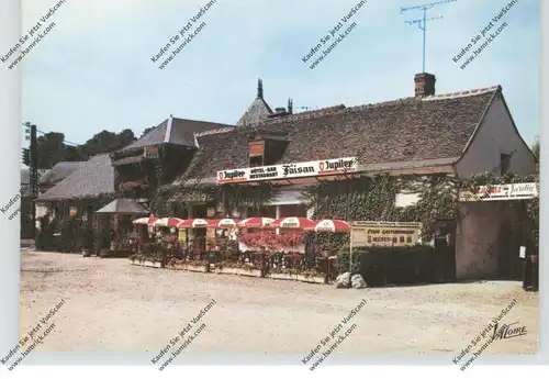 F 37300 SAVONNIERES, Hotel du Faisan