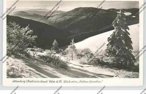 5788 WINTERBERG - ASTENBERG, Blick zum HOHEN KNOCHEN