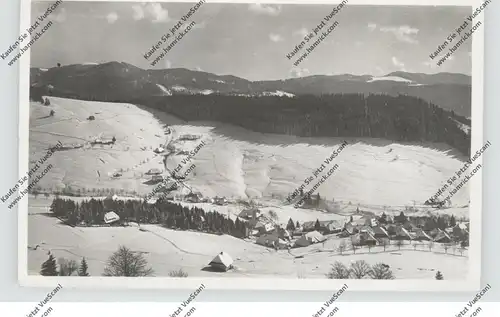 7868 TODTNAU - TODTNAUBERG, Gesamtansicht, kl. Druckstelle