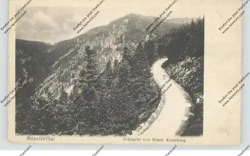 F 68140 SULZERN / SOULTZEREN, Münsterthal, Schlucht von Hotel Altenberg, 1904